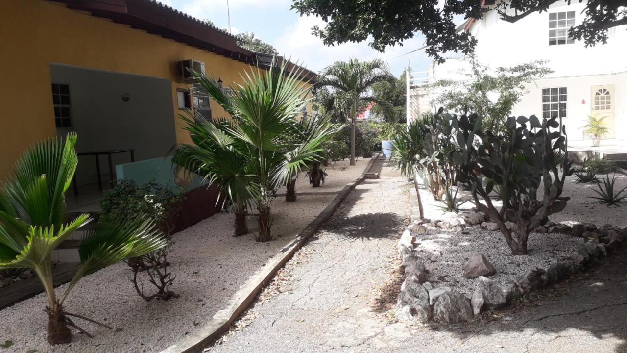 Happy Turtle Apartments Willemstad Eksteriør billede